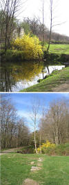 Lock 2 East, Morris Canal, Wharton