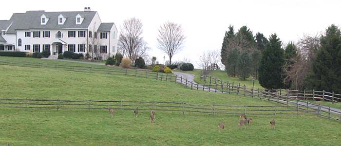 Brandywine area of Pennsylvania - Big house, lots of deer things