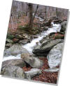 Roadside rivulet on Route 108 - Smuggler's Notch - Vermont